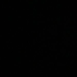 Meet your Posher, Tamijah